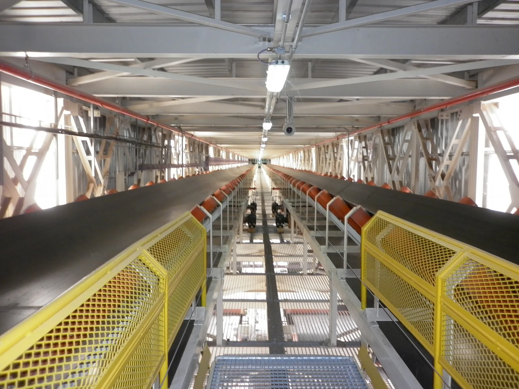 Cintas transportadoras — Molinos Agro — San Lorenzo